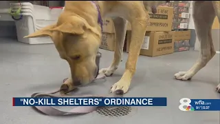 Sarasota’s no-kill shelter ordinance passes 1st reading