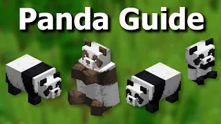 Everything There is to Know About Pandas in Minecraft - Mob Guide