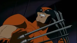 Wolverine Fight Scenes | X-Men: Evolution | S1-S2