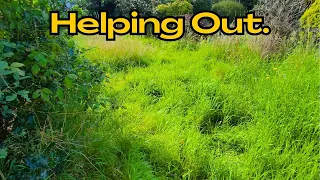 86 YEAR OLD Needed Help! OVERGROWN Garden He Was Trying To Do Himself!  He loves wildlife.