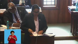 Fijian Minister for Industry delivers her Ministerial statement