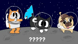 28 "Maxwell The Cat and Pug and Doge Dancing" Sound Variations | MAXWELL CAT ANIMATION COMPILATION