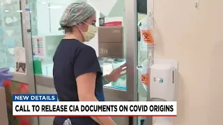 S.C. senator requests CIA docs after whistleblower claims COVID lab-leak coverup