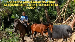 SOBRANG LAKI NG ATING ALAGANG BABOY AT ANAK NI IVANA