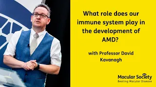 What role does our immune system play in the development of AMD?