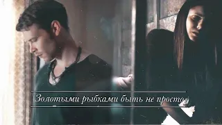 (AU) Klaus & Elena || Золотыми рыбками