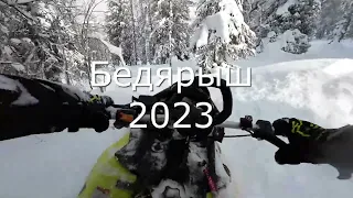 Бедярыш 2023