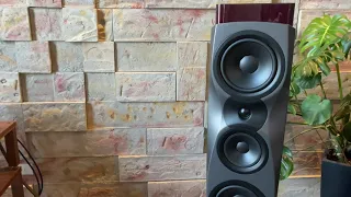 Dynaudio Confidence 30 + Unison Research S6