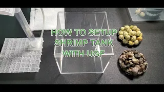 How to setup a shrimp tank with Undergravel Filter Box