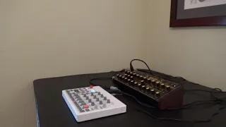 Behringer Wasp - Elektron Model:Samples