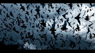 Bats Flying (Sound Effect)