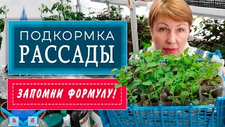 ПОДКОРМКА РАССАДЫ. Запомни формулу NPK