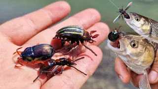 Почти живые насекомые!🐞 Очень реалистичные приманки на голавля