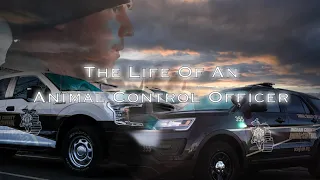 Animal Control Officer - A Day In The Life