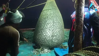 Everyone should watch this Fishermen's video - Most Satisfying Big Catch Fishing Net long @FISH_TV