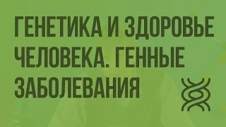 Генетика и здоровье человека. Генные заболевания