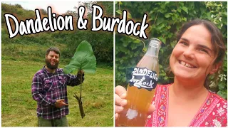 How To Harvest & Make Dandelion & Burdock - A Traditional Medieval Drink