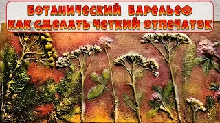 Ботанический барельеф своими руками 🌿 Как сделать четкие оттиски🌿