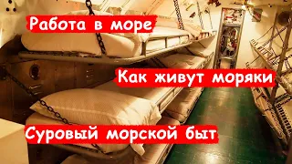 Как живут моряки?/ Быт на судне/ Работа в море/ Каюта и жилищные условия/ Блог моряка - часть  5:7