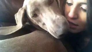 Giving Bruce the Weimaraner kisses