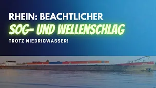 Rhein: Beachtlicher Sog und Schwell trotz Niedrigwasser