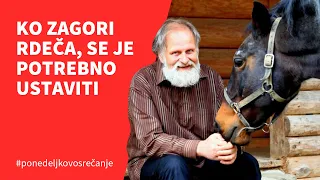 Ko zagori rdeča, se je potrebno ustaviti, pogovor z dr. Karlom Gržanom