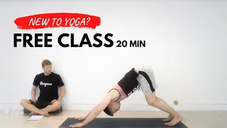 FREE Yoga Flow Class for Beginners | Yoga for BJJ | Stretches for Jiu Jitsu (2022)