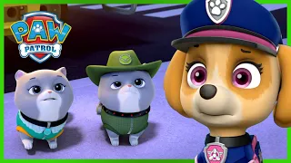 L'équipe Ultimate Rescue sauve les Royal Kitty Cats et plus! PAW Patrol dessins animés pour enfants