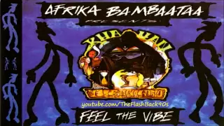 Afrika Bambaataa - Feel The Vibe (Extended Mix)