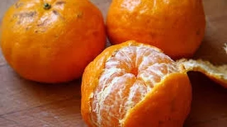 Como Cultivar Mandarina - TvAgro por Juan Gonzalo Angel