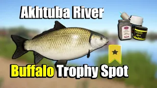 🎣Russian Fishing 4 RF4 - Akhtuba River Buffalo Trophy Spot#194