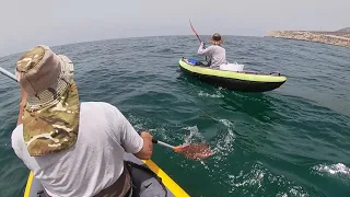 pêche au calamars en kayak ,  catch squid on kayak, صيد الحبار في قوارب الكاياك