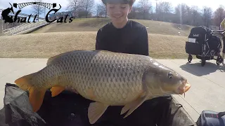 Ending the Day With a BIG CARP