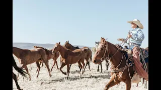 Exploring the Wild of Campwood Cattle Company | Ranch Life, Arizona Adventure, Sustainable Ranching