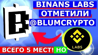 BINANCE LABS ✔️BLUM 5 МЕСТ 🔥 СПЕШИТЕ!