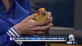 Exotic pets can help children with autism