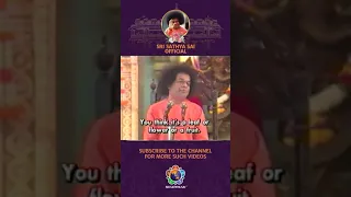 What Does God Expect From Us | Sri Sathya Sai Baba | #Shorts