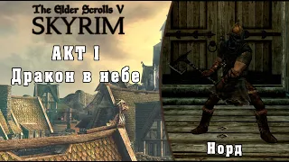 Дракон в небе (Норд) - TES V Skyrim