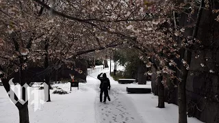 A major snowstorm is headed to D.C. area