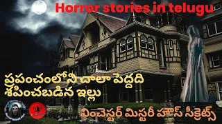 Telugu ghost stories|telugu deyyam kathalu|పెద్దది శపించబడినఇల్లు|వించెస్టర్ మిస్టరీ హౌస్ సీక్రెట్స్