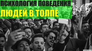 Психология поведения людей в толпе