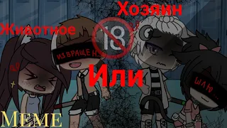 Meme :❤️😎 "Хозяин или животное"🐆❤️ Gacha Life. ~Marina 202