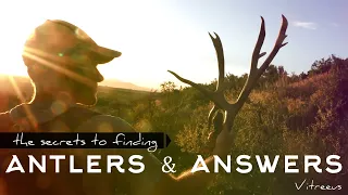 The Secrets to Finding ANTLERS & ANSWERS [a shed hunting perspective by Vitreeus]