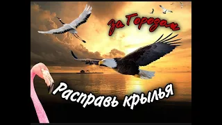 Новости Хоздвора::: Птицы отправились в РАЙ::::