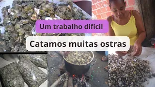 vida de Marisqueira um trabalho difícil ! /catamos muita ostras e marisco..