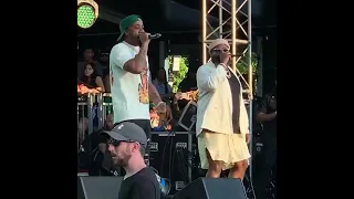 Benny The Butcher 🔪 x Black thought💭 live mixtape set #rootspicnic2022