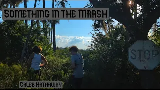 Something in the Marsh- 2024 Film Festival Entry