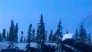 Russian Yeti Rips Out Tree and runs with it trying to hide away. Powerful Yeti tree Ripper in Russia