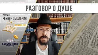 2. Теория одной души. Философия науки, определение истинности. Психология и Хасидизм.