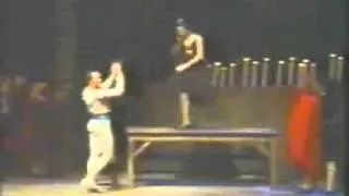 Don Quijote ballet 2 acto La taverna Cecilia Mengelle  Mercedes T Colon 1985